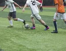 森林狼逆袭,之战,能否轻松横,杏彩娱乐,杏彩娱乐官网入口,杏彩娱乐官网首页,杏彩娱乐官网